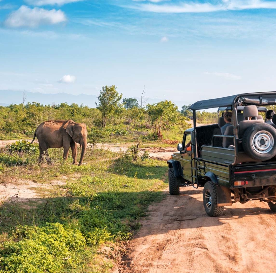 Urban Wildlife Sanctuary: Nairobi’s Hidden Natural Treasures